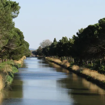 Maison Minervoise * Aigne (Herault)
